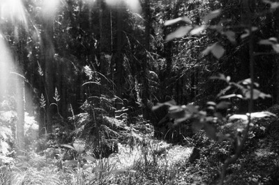 Zdjęcie - Preanalogue Postdigital. Wystawa indywidualna / Isikunäitus