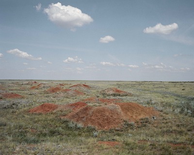 Zdjęcie - O naturze we współczesnej polskiej fotografii | Spotkanie